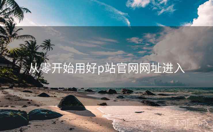 从零开始用好p站官网网址进入  第2张