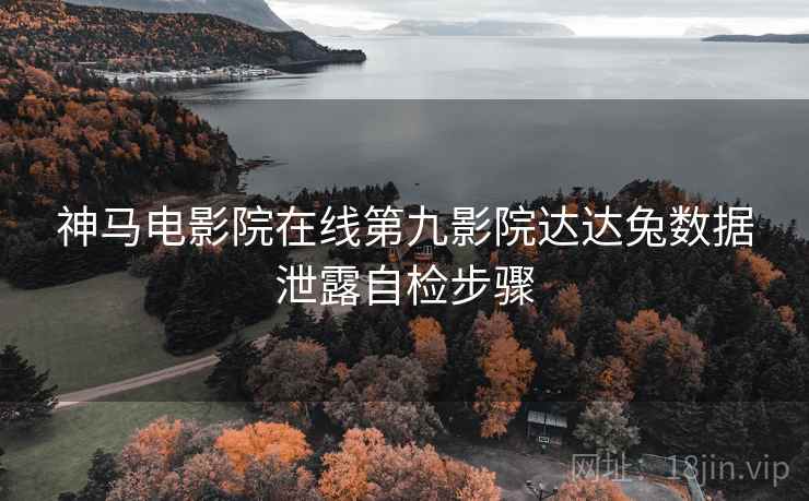 神马电影院在线第九影院达达兔数据泄露自检步骤  第2张