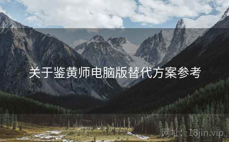 关于鉴黄师电脑版替代方案参考  第2张