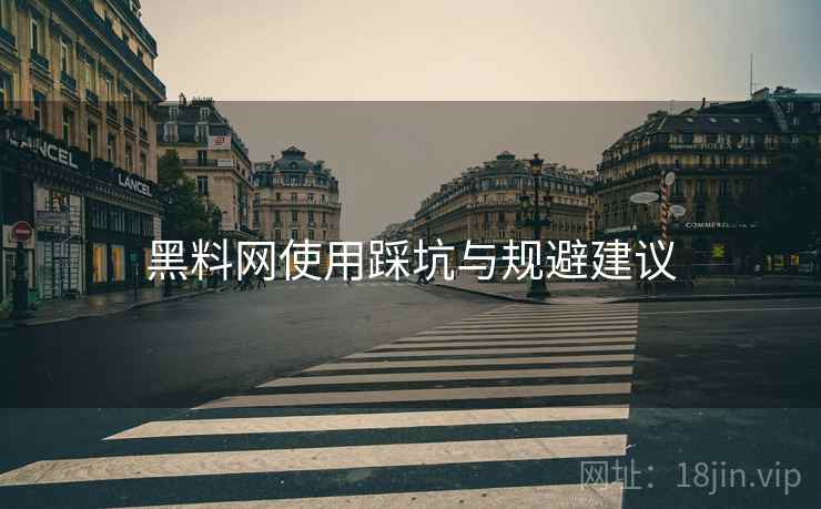 黑料网使用踩坑与规避建议  第2张