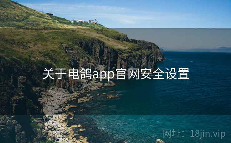 关于电鸽app官网安全设置  第2张