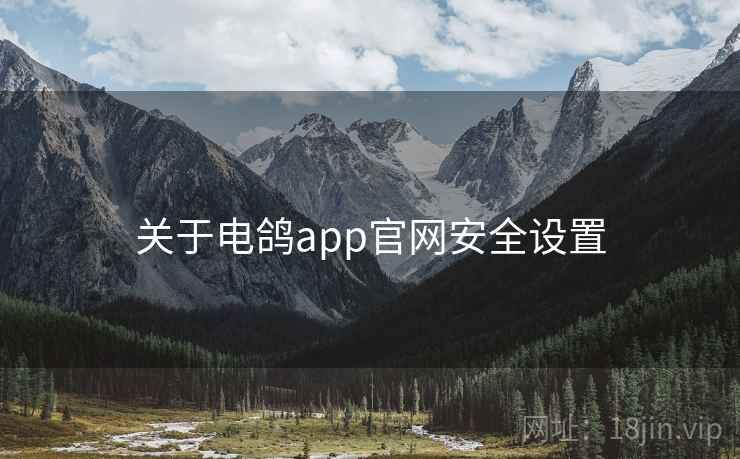 关于电鸽app官网安全设置  第1张