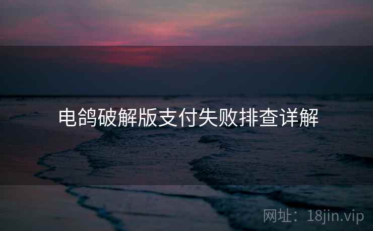 电鸽破解版支付失败排查详解  第1张