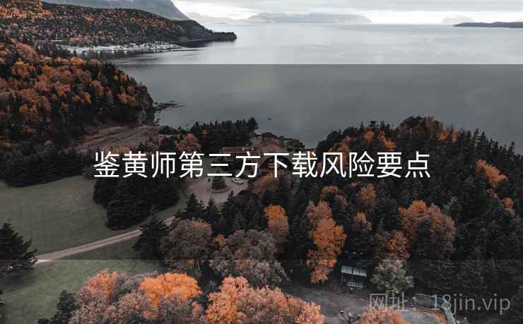 鉴黄师第三方下载风险要点  第2张