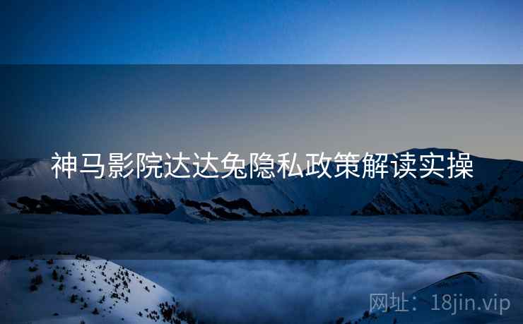 神马影院达达兔隐私政策解读实操  第1张