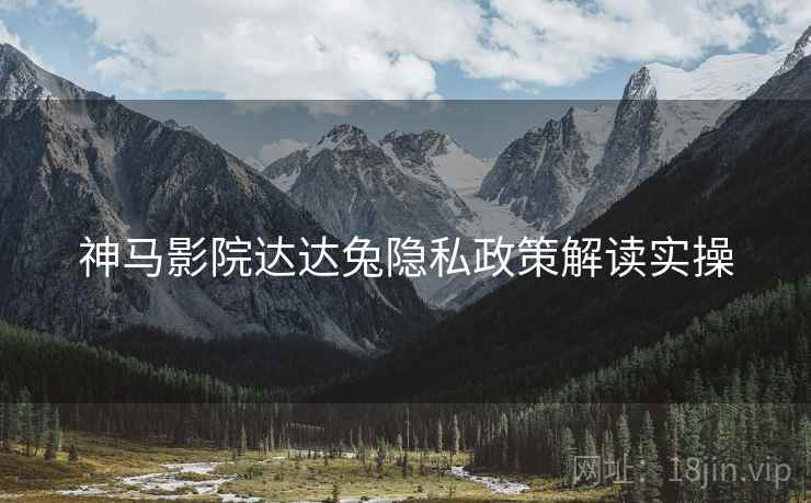 神马影院达达兔隐私政策解读实操  第2张