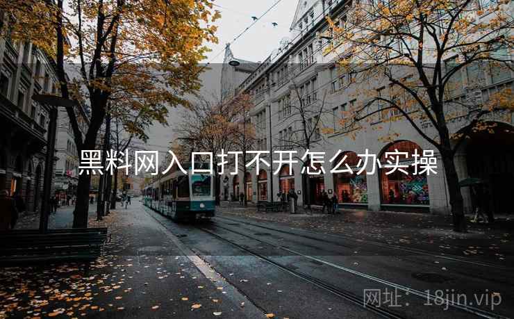 黑料网入口打不开怎么办实操  第1张