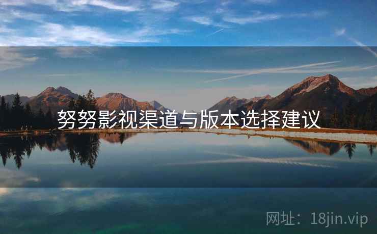 努努影视渠道与版本选择建议  第1张