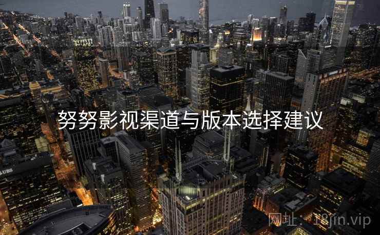 努努影视渠道与版本选择建议  第2张