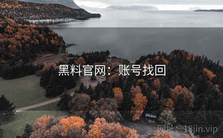 黑料官网：账号找回  第2张