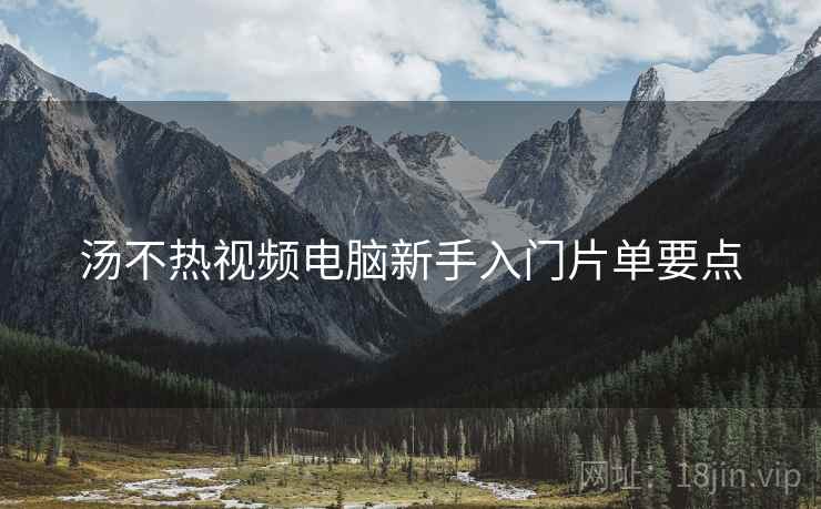 汤不热视频电脑新手入门片单要点  第1张