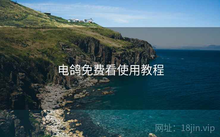 电鸽免费看使用教程  第2张