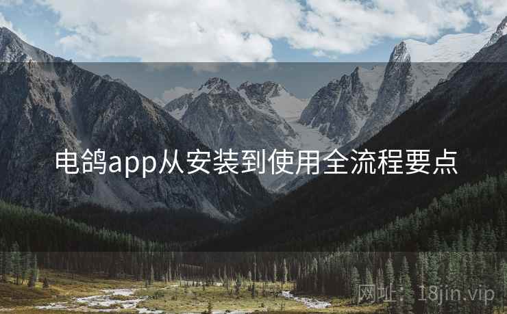 电鸽app从安装到使用全流程要点  第1张