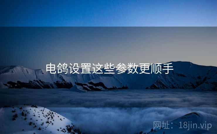 电鸽设置这些参数更顺手  第2张