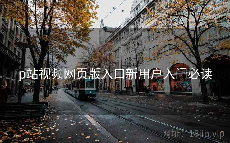 p站视频网页版入口新用户入门必读  第2张