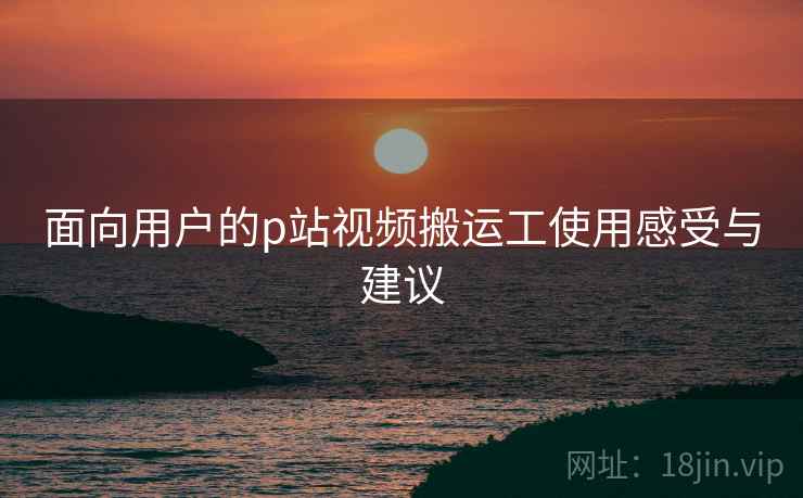 面向用户的p站视频搬运工使用感受与建议  第1张