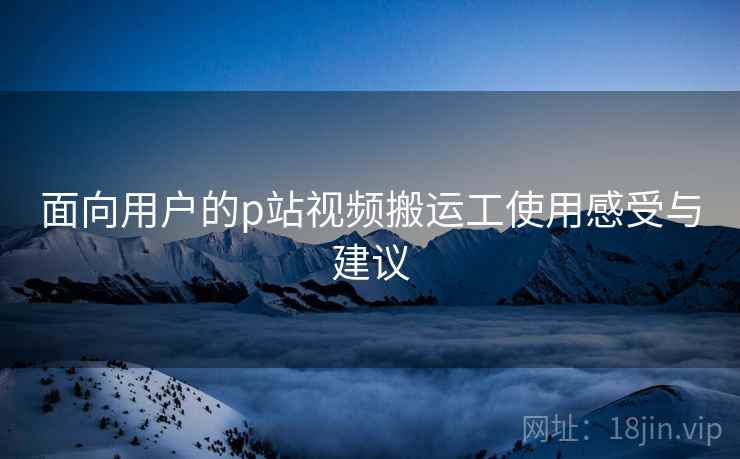 面向用户的p站视频搬运工使用感受与建议  第2张