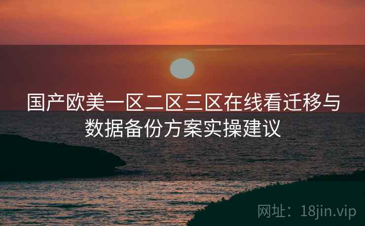 国产欧美一区二区三区在线看迁移与数据备份方案实操建议  第2张
