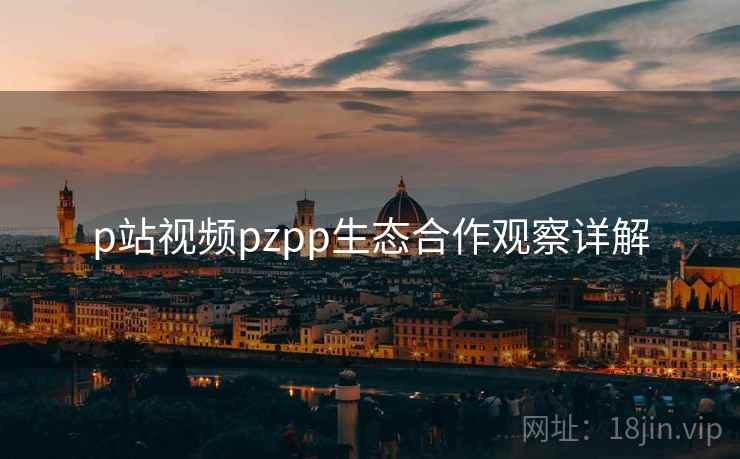 p站视频pzpp生态合作观察详解  第2张