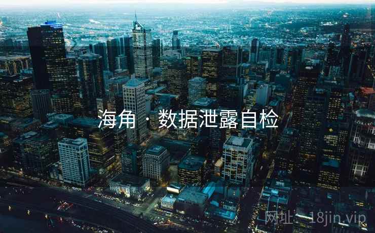 海角 · 数据泄露自检  第2张