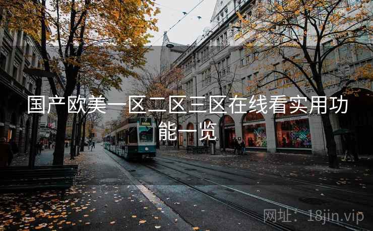 国产欧美一区二区三区在线看实用功能一览  第2张