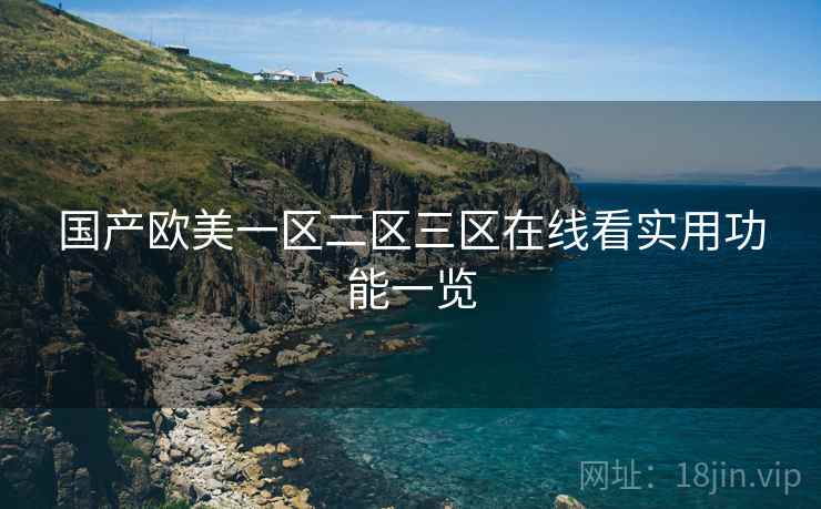国产欧美一区二区三区在线看实用功能一览  第1张