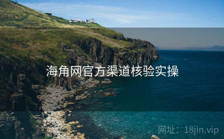 海角网官方渠道核验实操  第1张
