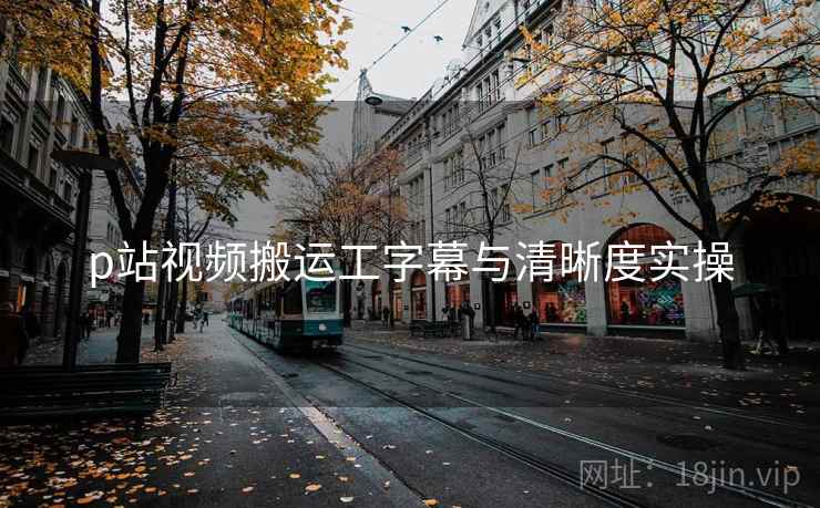 p站视频搬运工字幕与清晰度实操  第1张