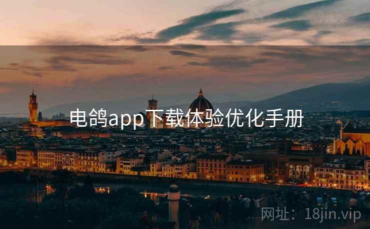 电鸽app下载体验优化手册  第2张